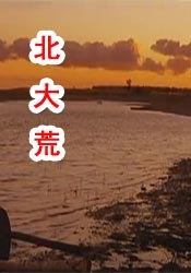 国产精品一本
